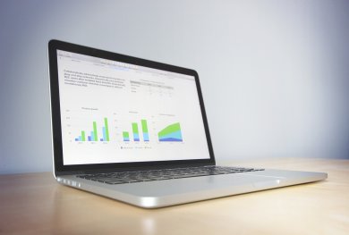Diagramme und Auswertungen auf einem Laptopbildschirm
