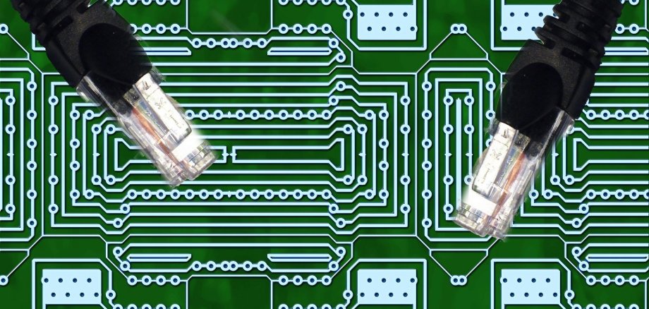 Symbolbild einer Platine und zweier Netzwerkstecker