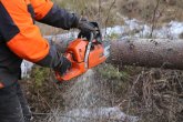 Waldarbeit mit der Kettensäge